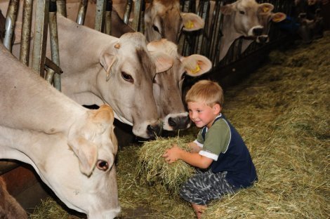 Familienurlaub am Bauernhof - Füttern