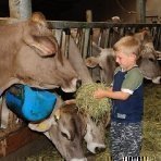 Familienurlaub am Bauernhof - Füttern der Tiere